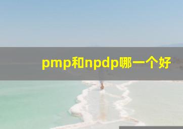 pmp和npdp哪一个好