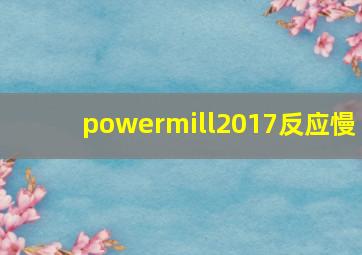 powermill2017反应慢