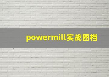 powermill实战图档