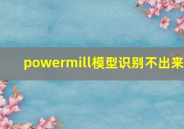 powermill模型识别不出来