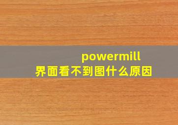 powermill界面看不到图什么原因