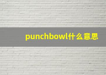 punchbowl什么意思