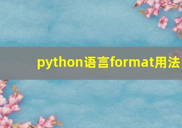 python语言format用法