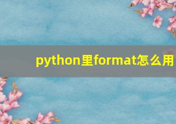 python里format怎么用