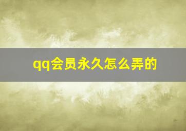 qq会员永久怎么弄的