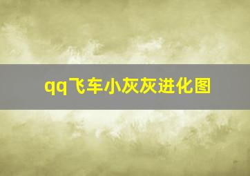 qq飞车小灰灰进化图