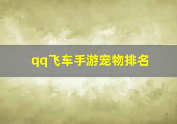 qq飞车手游宠物排名