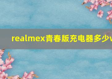 realmex青春版充电器多少w