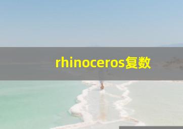 rhinoceros复数