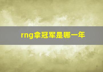 rng拿冠军是哪一年