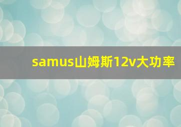 samus山姆斯12v大功率