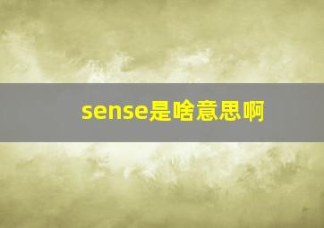 sense是啥意思啊