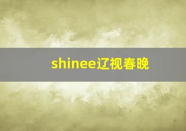 shinee辽视春晚