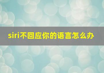 siri不回应你的语言怎么办