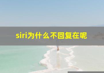 siri为什么不回复在呢