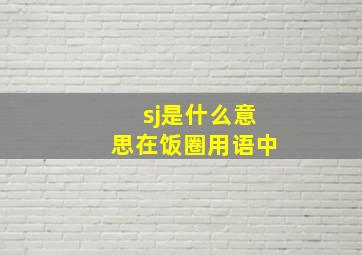 sj是什么意思在饭圈用语中