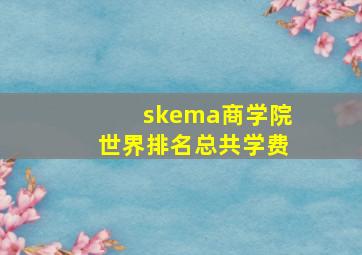 skema商学院世界排名总共学费