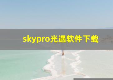 skypro光遇软件下载