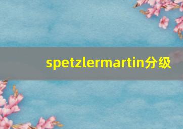 spetzlermartin分级