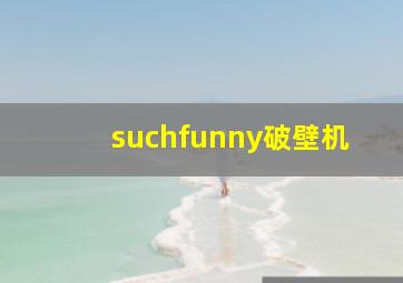 suchfunny破壁机