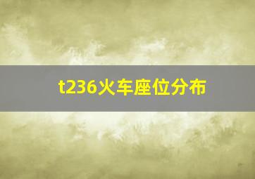 t236火车座位分布