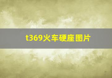 t369火车硬座图片