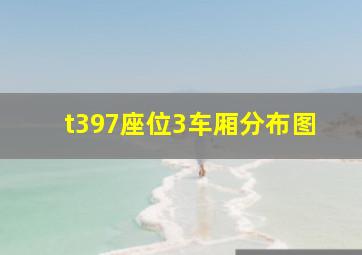 t397座位3车厢分布图