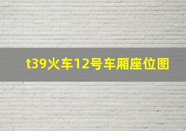 t39火车12号车厢座位图