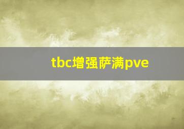 tbc增强萨满pve