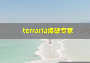 terraria爆破专家