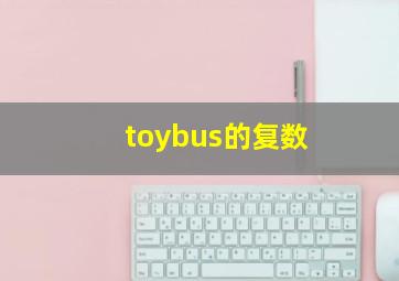 toybus的复数