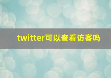 twitter可以查看访客吗