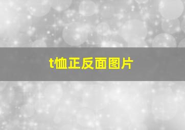 t恤正反面图片