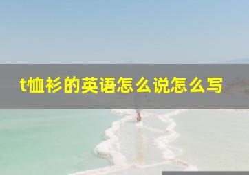 t恤衫的英语怎么说怎么写