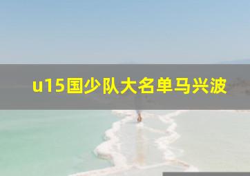 u15国少队大名单马兴波