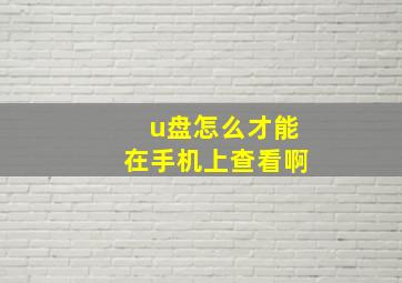 u盘怎么才能在手机上查看啊