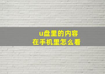 u盘里的内容在手机里怎么看