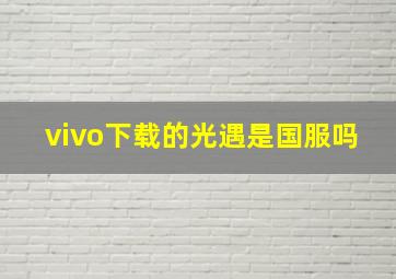 vivo下载的光遇是国服吗