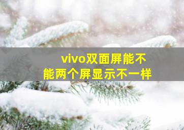 vivo双面屏能不能两个屏显示不一样