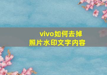 vivo如何去掉照片水印文字内容