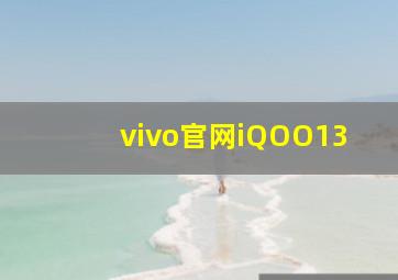 vivo官网iQOO13