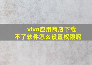 vivo应用商店下载不了软件怎么设置权限呢