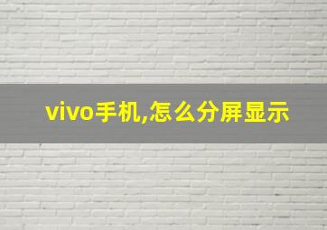 vivo手机,怎么分屏显示