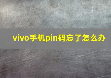 vivo手机pin码忘了怎么办