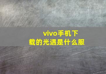 vivo手机下载的光遇是什么服