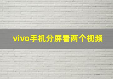 vivo手机分屏看两个视频