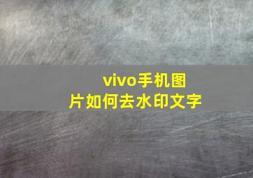 vivo手机图片如何去水印文字