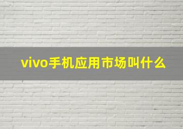 vivo手机应用市场叫什么