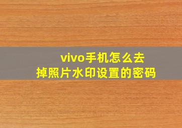 vivo手机怎么去掉照片水印设置的密码