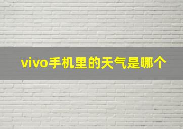 vivo手机里的天气是哪个